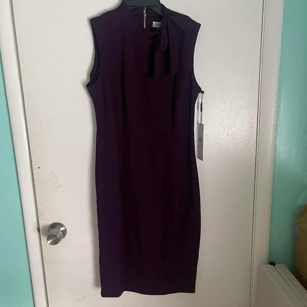 NWT Calvin dress